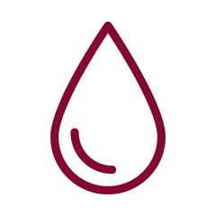 Skin Plumpness & Hydration